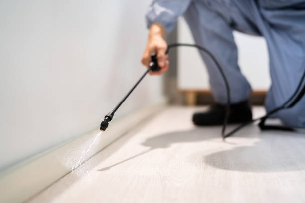 Licensed Pest Control service in Brushy, OK - Show Me Pest Control