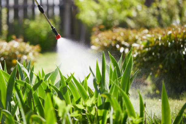 24/7 Emergency Mosquito Control experts in Brushy, OK
