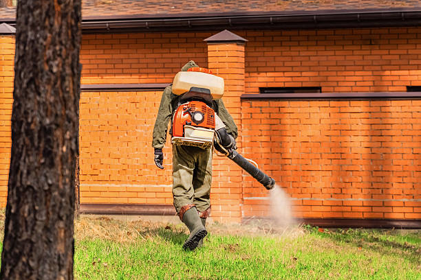 Top rated local Mosquito Control specialists in Brushy, OK